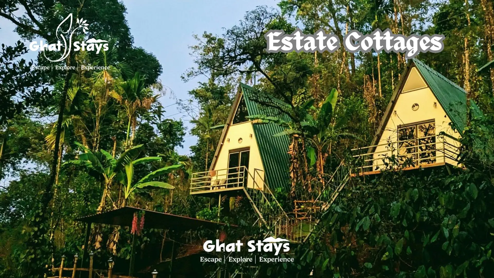 homestays